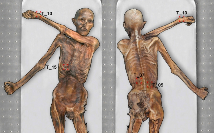 Új tetoválásokat fedeztek fel Ötzi, a gleccsermúmia bőrén