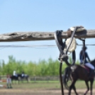 MLSZ Regionális díjugrató és szabadidős lovasverseny a Füle tanyán