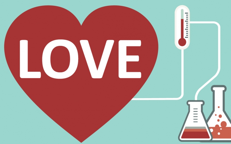 10+1 tudományos tény a szerelemről ❤