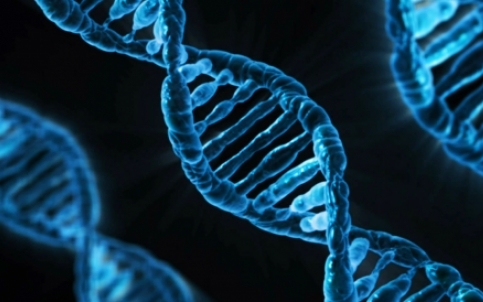 Először módosították humán embrió génjeit kínai tudósok