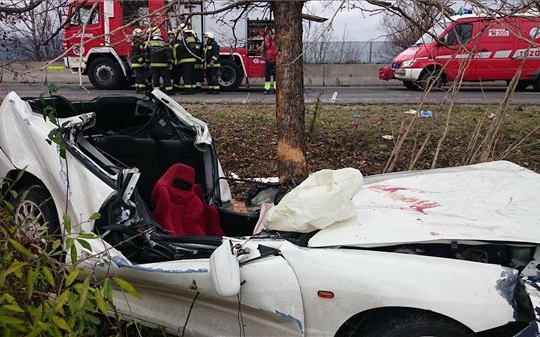 Fának ütközött egy autó a 11-esen Budakalásznál, a sofőr meghalt