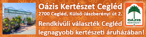 Oazis Cegled_altalanos