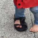 XXXIII. Beck Péter emléktorna