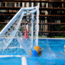 Miami vízilabdások Cegléden