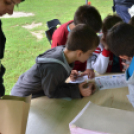 Autómentes Nap Cegléden