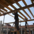 Halad a piac projekt