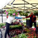 Anyák napi virágvásár és Anyám tyúkja főzőverseny