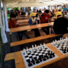 Virágvásár és főzőfesztivál Csemőben