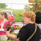 Rózsák Hétvégéje - Oázis Kertészeti Áruház