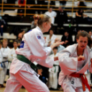 Judo KÖZGÉP Kupa