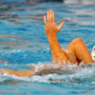 CVSE - Kecskemét 5-5