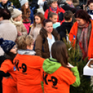 Karácsonyfa díszítő verseny