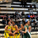 CEGLÉDI EKK – CMB CARGO GYŐR 66–74