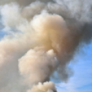 Száraz növényzet égett