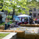 650 perc sport - futóverseny