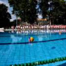 Magyarország 7-7 Ausztrália