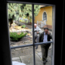 Szilva fórum Cegléden