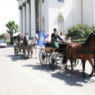 IX. Bor és Laskafesztivál - IV. Ceglédi Vágta