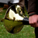 Ünnepeltek a vadászok