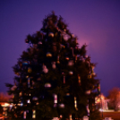 Advent harmadik vasárnapja