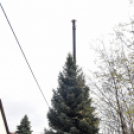 Megérkezett a város karácsonyfája