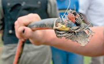 Kábeltolvajok miatt késnek a vonatok