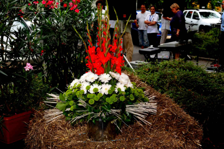 Augusztus 20. - az ország tortája Cegléden