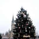 Megnyitott a koripálya