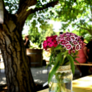 XIII. Nyitott Pince Nap