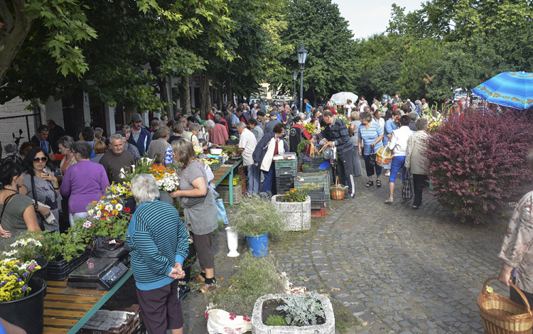 Kitelepült a zöldségpiac