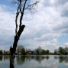 Éhmann Ferenc Emlék Kupa