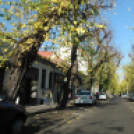 Halló Cegléd - Rákóczi út