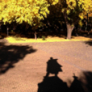 Halló Cegléd! - telefonfotók