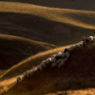 MAFOSZ kiállítás képei