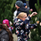 Karácsonyfa díszítő verseny