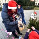 Karácsonyfa díszítő verseny