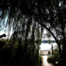 Éhmann Ferenc Horgászverseny