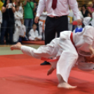 Judo Kupa Cegléden