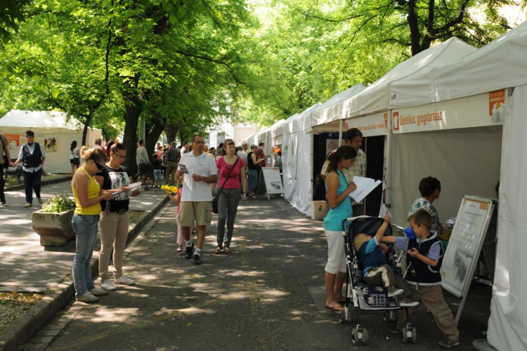 A ceglédiek bizonyítottak: 4 millió forint az új ultrahangra