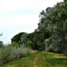 Karanténséta a Gerje parton