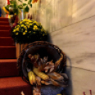 A legszebb kerteket, balkonokat és rajzokat díjazták