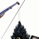 Megérkezett a város karácsonyfája