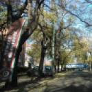 Halló Cegléd - Rákóczi út