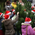 Karácsonyfa díszítő verseny