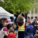 Pest megyei Rendőr- és Tűzoltónap
