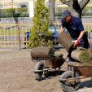 Füvesítik a strandot