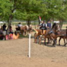 Ahol még a lovak is asztalhoz ülnek...