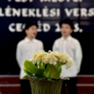 Népdaléneklési verseny Cegléden