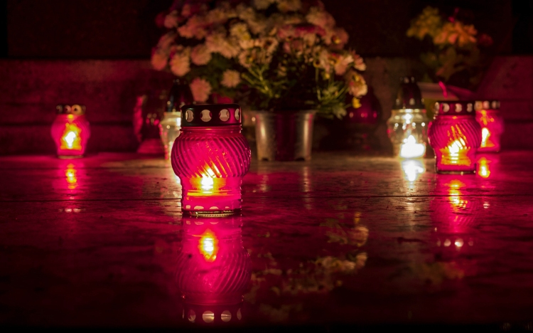 Közútkezelői tájékoztatás