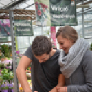 Családi tökfaragás az Oázis Kertészetben